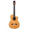 Fusion Orchestra CE Pro Guitar