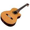 Fusion Orchestra CE Pro Guitar