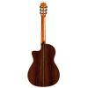 Fusion Orchestra CE Pro Guitar
