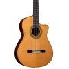Fusion Orchestra CE Pro Guitar