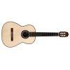 Hauser SP/IN Acoustic Guitar