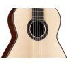 Hauser SP/IN Acoustic Guitar