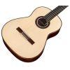 Hauser SP/IN Acoustic Guitar