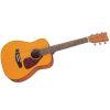 JR1 Small Bodied Acoustic Guitar