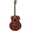 LJ16 ARE Acoustic Guitar