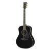 LL16D ARE Acoustic Guitar