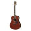 LL16 ARE Acoustic Guitar