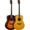 LL-TA TransAcoustic Guitar