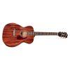 M-120 Concert Acoustic Guitar in Natural finish