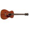 M-20E Concert Acoustic Guitar in Natural finish
