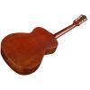 M-20E Concert Acoustic Guitar in Natural finish