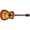 M-260E Deluxe Concert Acoustic Guitar in Edge Burst finish