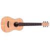 Mini II FMH Flamed Mahogany Acoustic Guitar