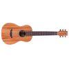 Mini II MH Acoustic Guitar