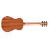 Mini II MH Acoustic Guitar