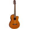 NCX1C Electro-Classical Guitar