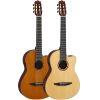 NCX3 Electro-Classical Guitar