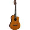 NCX3C Electro-Classical Guitar
