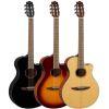 NTX1 Electro-Classical Guitar