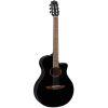 NTX1 Electro-Classical Guitar