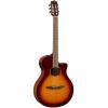 NTX1 Electro-Classical Guitar