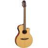 B Grade Refurbished NTX1 Electro-Classical Guitar