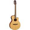 NTX1 Electro-Classical Guitar