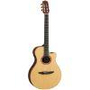 NTX3 Electro-Classical Guitar