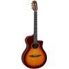 NTX3 Electro-Classical Guitar