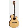 NTX3 Electro-Classical Guitar