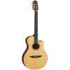 NTX3 Electro-Classical Guitar
