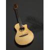 NTX5 Electro-Nylon Guitar