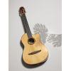 NTX5 Electro-Nylon Guitar
