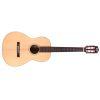 P-240 Memoir  Acoustic Guitar in Natural finish