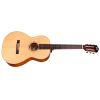 P-240 Memoir  Acoustic Guitar in Natural finish