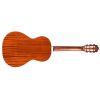 P-240 Memoir  Acoustic Guitar in Natural finish