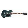 Polara Deluxe Electric Guitar in Kingswood Green finish