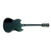 Polara Deluxe Electric Guitar in Kingswood Green finish