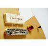 A Grade Refurbished Chris Buck RS02CB signature Revstar Electric Guitar