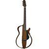 SLG200S Steel String Silent Guitar