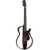 SLG200S Steel String Silent Guitar