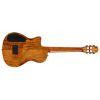 Stage Artist Agave Burst Classical Guitar
