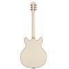 Starfire Custom DC GVT