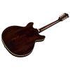 Starfire Deluxe DC in Noble Stain Finish
