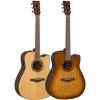 TAG1C TransAcoustic Guitar in Natural or Sandburst Finishes