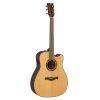 TAG1C TransAcoustic Guitar in Natural or Sandburst Finishes