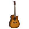 TAG1C TransAcoustic Guitar in Natural or Sandburst Finishes