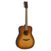 TAG1E TransAcoustic Guitar in Various Finishes