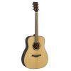 TAG1E TransAcoustic Guitar in Natural Finish