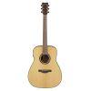 TAG1E TransAcoustic Guitar in Natural Finish